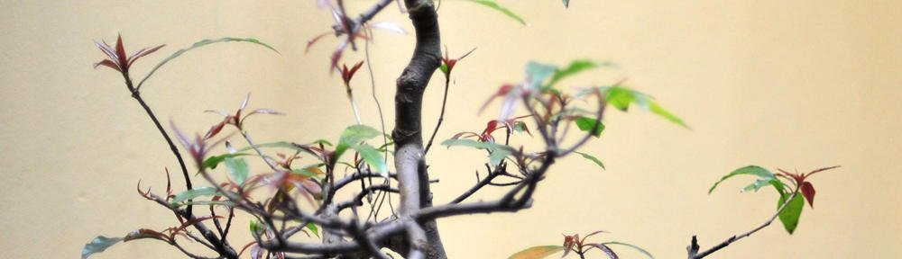 3BC Allerton CE Primary, Leeds